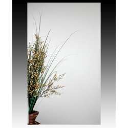 MC11244-W Mirror Cabinet in White