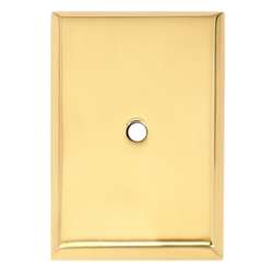 Escutcheon Backplate Escutcheons 1-7/8-in in Polished Brass