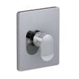 Valve Trim