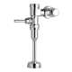 Flush Valves