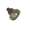 American Standard Flowise 1660.811.224