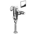 Urinal Flush Valves