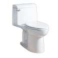 1-Piece Toilets