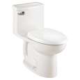 1-Piece Toilets