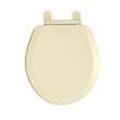 American Standard Everclean 5320.110.021