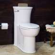 1-Piece Toilets