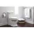 1-Piece Toilets