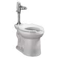 1-Piece Toilets