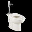 1-Piece Toilets