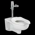 1-Piece Toilets