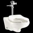 1-Piece Toilets