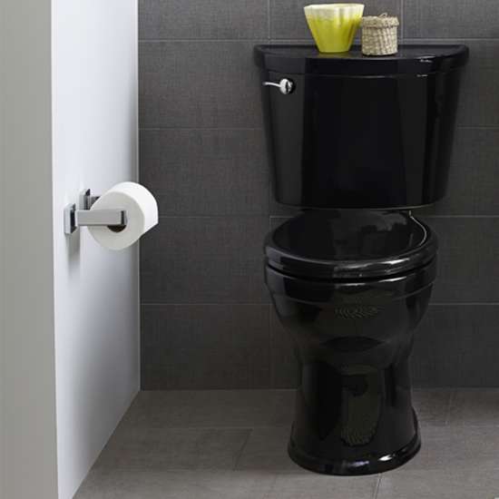 211AA.104.020 Champion Pro 1.28 GPF 2-Piece Elongated Toilet With 12-In Rough-In