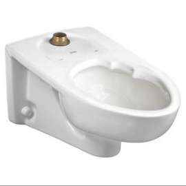 Commercial Elongated Toilet with Everclean with Slotted Rim for Bedpan in White