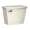 American Standard Cadet Pro 4191A.104.222