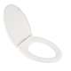 Elongated Closed Front Toilet Seat and Lid in White