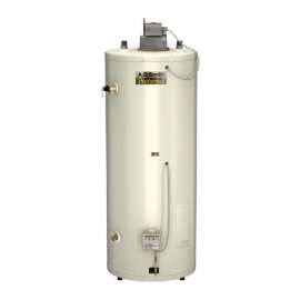 A.O. Smith Conservationist BTN BTN-100