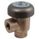 Check Valves and Backflow Preventers