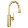 Empressa Pull-Down Bar Faucet - Satin Gold, 442983