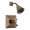 Brizo Vesi T60240-BZ