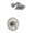 Brizo RSVP T60290-BN