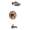 Brizo RSVP T60490-BZ