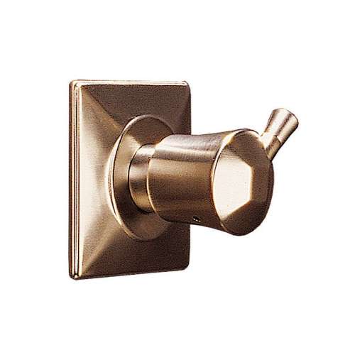 Brizo Vesi T60840-BZ