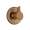 Brizo RSVP T60990-BZ