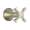 Brizo RSVP T66695-BN