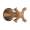 Brizo RSVP T66695-BZ