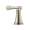 Brizo Baliza HL505-BN