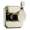 Brizo Virage T60830-PN