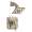 Brizo Virage T60230-BN