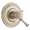 Brizo Baliza T60005-BN