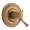 Brizo Baliza T60005-BZ