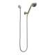 Baliza 85810-BN Hand Shower Includes Hose and Wall Supply in Brushed Nickel