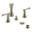 Bidet Faucets