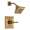 Brizo Vesi T60P240-BZ