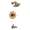 Brizo RSVP T60P490-BZ