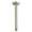 Brizo RP48986PN