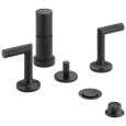 Bidet Faucets