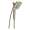 Brizo Hydrati 86201-BN