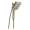 Brizo Hydrati 86280-BN
