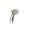 Brizo Traditional RP73721BN