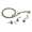 Brizo Charlotte T70385-PN