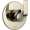 Brizo Sotria T60850-PN