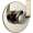 Brizo Sotria T60950-PN
