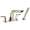 Brizo Sotria T67450-PN