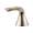 Brizo Sotria RP76567PN