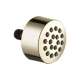 Body Spray Head in Polished Nickel