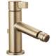 Bidet Faucet in Luxe Gold Finish